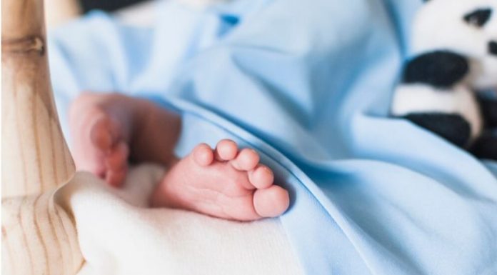 Botucatu registrou sete reconhecimentos de paternidade em 2025, aponta Arpen