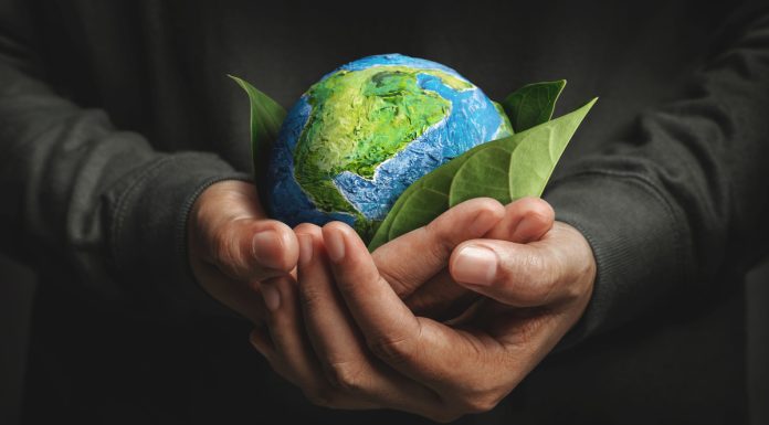 Consciência ambiental representa o respeito à integridade do meio ambiente Consciência ambiental representa o respeito à integridade do meio ambiente