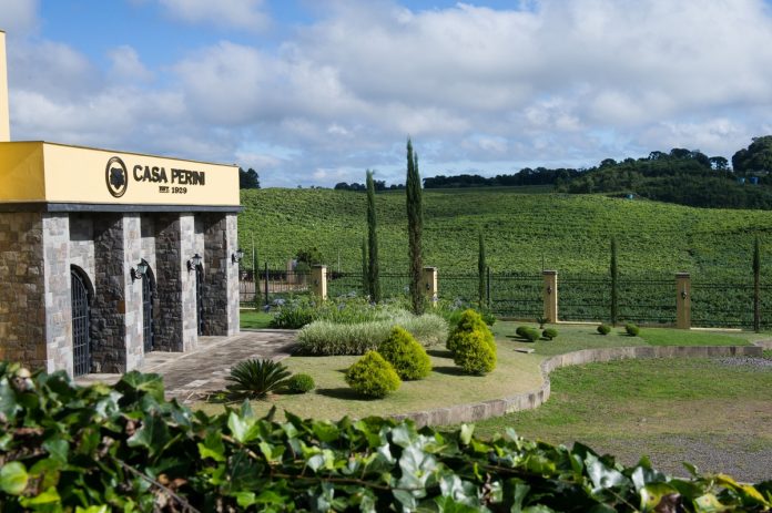 Casa Perini oferece imersão na cultura da colheita Casa Perini oferece imersão na cultura da colheita