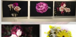 Flores: Malu Mesquita expõe nova série no espaço O Jardim