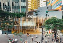 Exposições refletem sobre sustentabilidade em São Paulo