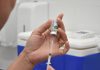 Vacinação contra a dengue em Botucatu: veja quem pode receber a dose e quais documentos levar