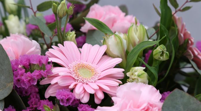 Giuliana Flores inaugura loja boutique em Campinas