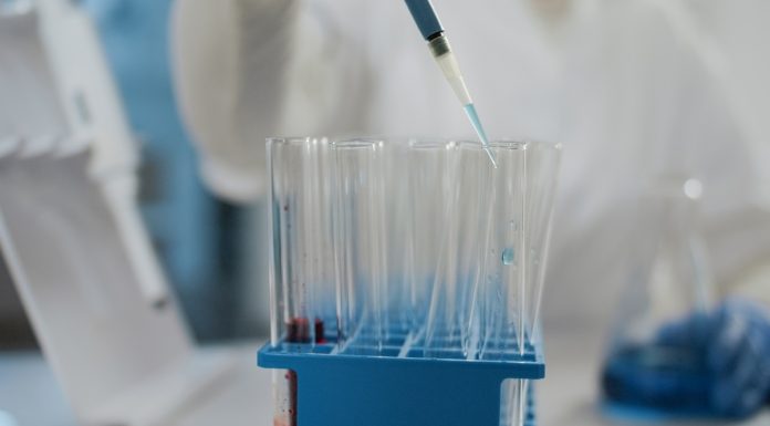 Uso de escovas técnicas em laboratórios integra protocolos de higienização