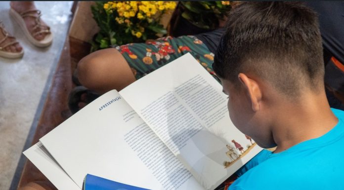 Vaga Lume indica livros sobre crise climática infantil