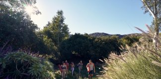 Yoga cresce com o setor de bem-estar no país