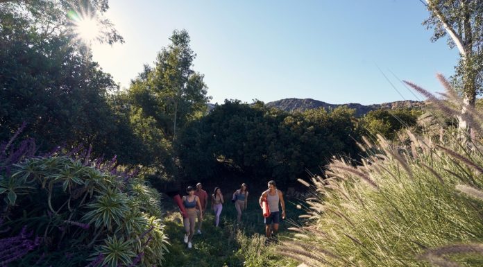 Yoga cresce com o setor de bem-estar no país