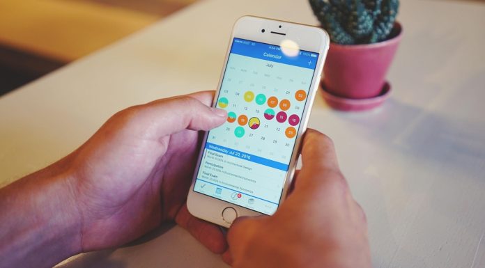 Gendo chega à Espanha e projeta 700 mil euros em 2026