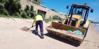 Amanrasa realiza força-tarefa ambiental e reforça segurança durante o Carnaval