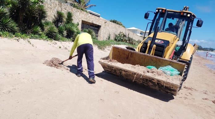 Amanrasa realiza força-tarefa ambiental e reforça segurança durante o Carnaval