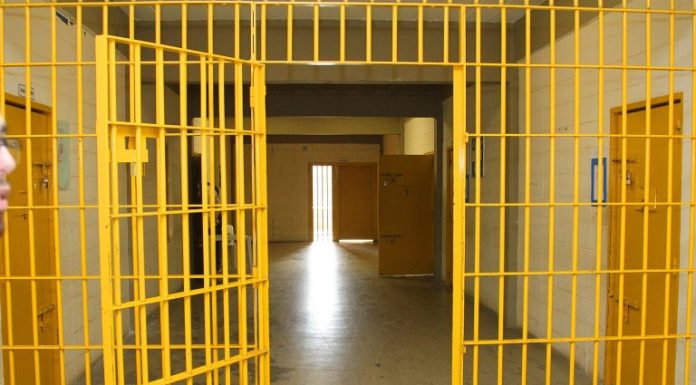 Adolescente da Fundação CASA em Botucatu conquista bolsa integral em Biomedicina