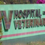 Hospital Veterinário da Unesp interrompe plantões neste final de semana em Botucatu