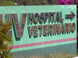 Hospital Veterinário da Unesp interrompe plantões neste final de semana em Botucatu