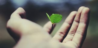 Solera recebe prêmio por tecnologia climática no reparo