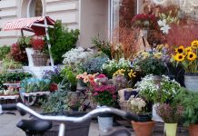 Giuliana Flores prevê mais de 50 novas franquias em 2026