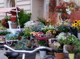 Giuliana Flores prevê mais de 50 novas franquias em 2026