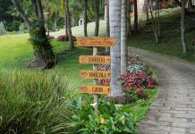 Enoturismo amplia concorrência e exige diferenciação Enoturismo amplia concorrência e exige diferenciação