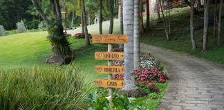 Enoturismo amplia concorrência e exige diferenciação