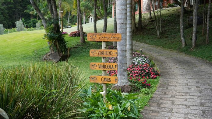 Enoturismo amplia concorrência e exige diferenciação Enoturismo amplia concorrência e exige diferenciação