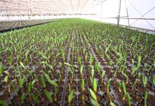 Iniciativas de empresas impulsionam gestão hídrica no Brasil Iniciativas de empresas impulsionam gestão hídrica no Brasil