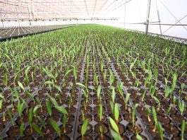 Iniciativas de empresas impulsionam gestão hídrica no Brasil