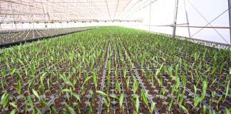 Iniciativas de empresas impulsionam gestão hídrica no Brasil