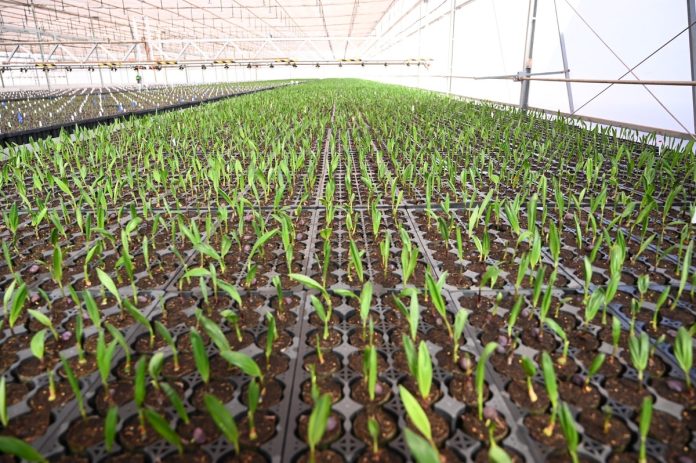 Iniciativas de empresas impulsionam gestão hídrica no Brasil Iniciativas de empresas impulsionam gestão hídrica no Brasil