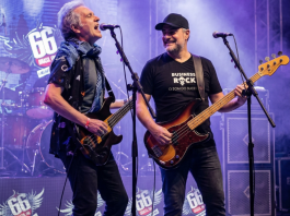 Arnaldo Brandão revisita 70 anos de rock brasileiro