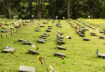 Concessão de Cemitérios de São Paulo completa três anos Concessão de Cemitérios de São Paulo completa três anos