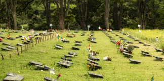 Concessão de Cemitérios de São Paulo completa três anos