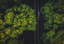 Empresas se adaptam às novas exigências de sustentabilidade