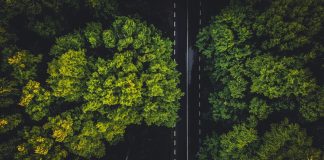 Empresas se adaptam às novas exigências de sustentabilidade