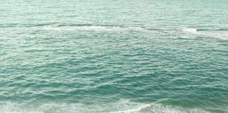 Barra de São Miguel é opção para destination weddings