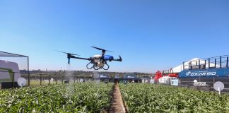 Agronegócio tem a melhor reputação corporativa do Brasil