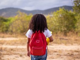 IR 2026 permite doar até 3% do imposto à infância