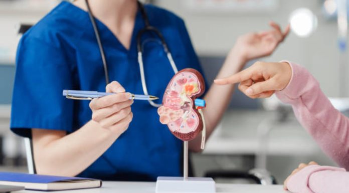 Doença renal pode ser importante causa de morte até 2040 Doença renal pode ser importante causa de morte até 2040