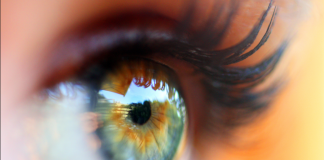 Alcon lança Systane® Complete sem conservantes no Brasil