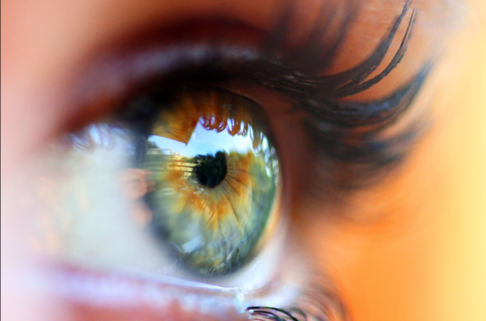 Alcon lança Systane® Complete sem conservantes no Brasil