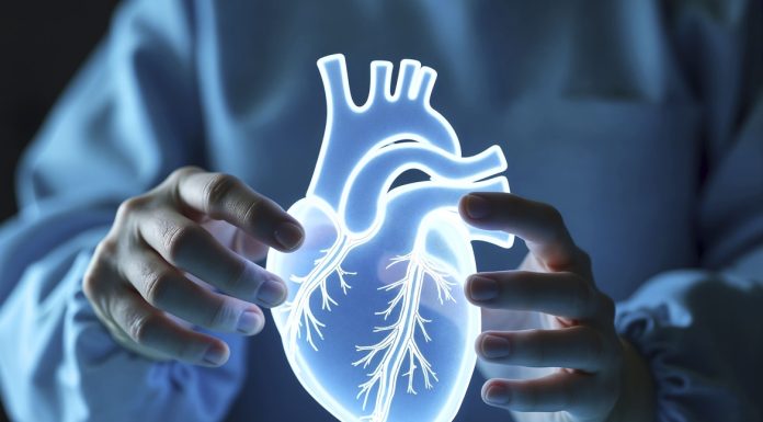 Prevenção cardíaca exige check-up a partir dos 40 anos