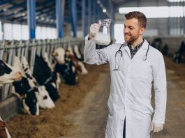 Boas práticas na agropecuária incluem higienização técnica