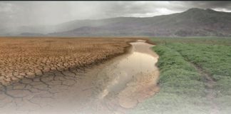 Webinário debate nova Lei de Licenciamento Ambiental