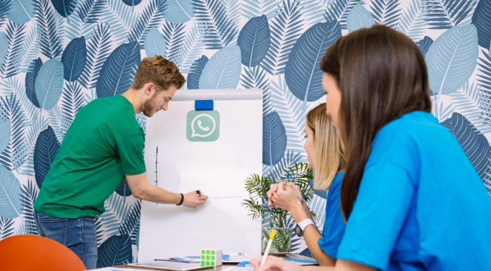 WhatsApp se torna ativo corporativo estratégico no Brasil