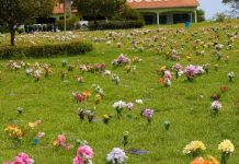 Ossada e corpo localizado em árvore serão sepultados como desconhecidos em Botucatu