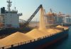Terminal aumenta em 15% produtividade na exportação de grãos