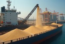 Terminal aumenta em 15% produtividade na exportação de grãos