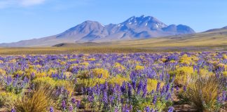 KAYAK revela 5 destinos com eventos naturais para ir em 2026