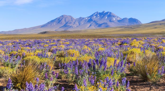 KAYAK revela 5 destinos com eventos naturais para ir em 2026