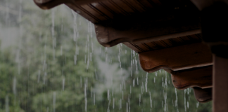 Calor e chuva aceleram avanço da dengue no país