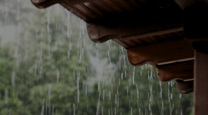 Calor e chuva aceleram avanço da dengue no país