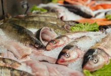 Tradicional consumo na Sexta-Feira Santa movimenta peixarias em Botucatu